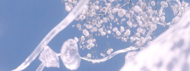 *sugarboy*さんの壁紙画像