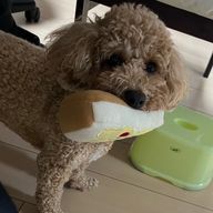 みやさんのアイコン画像