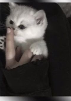 見て欲しいです