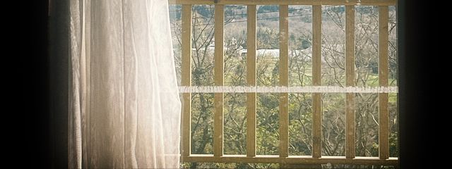 あいうさんの壁紙画像