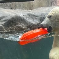 水不足さんのアイコン画像
