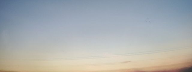 mituki.sさんの壁紙画像