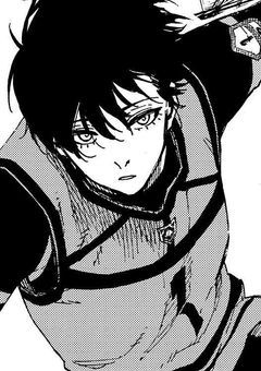 病気が発覚したので兄から逃げようと思います .