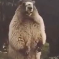 ラッコさんのアイコン画像