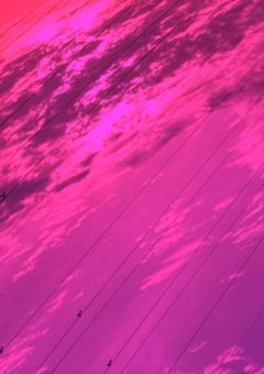 縛られていた俺が君のおかげで自由になる物語　🎼🌸