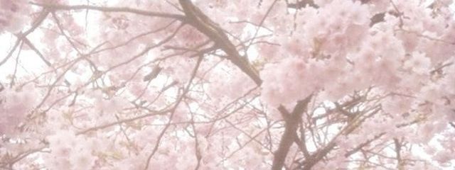雨情さんの壁紙画像
