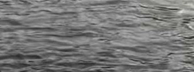 涼樹さんの壁紙画像