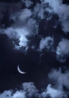 ▽『観測：愛』〖つえー〗