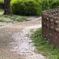 なっつさんのアイコン画像