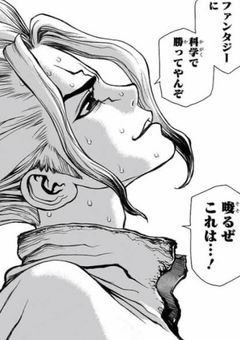 　︎ ✧  石の世界の"お医者さん"