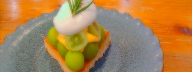 桜井春奈 さんの壁紙画像