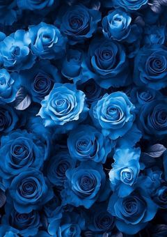 ˖🥀 ݁˖  愛を 教えてよ ˖ ♡゙