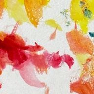 ぷてらさんのアイコン画像