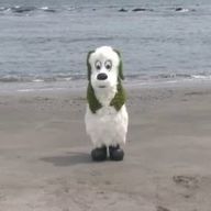 ひよりさんのアイコン画像
