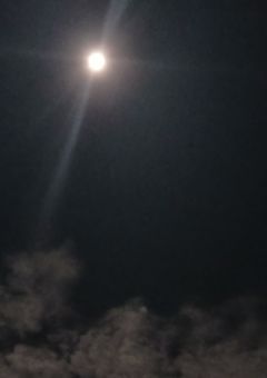 ✍️ 額ぶちの中で1000年生きてるのさ，