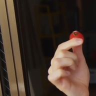 いろじろトマトさんのアイコン画像