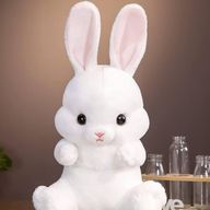 みどり🍊🐰🎈🕊️📗🌾🫧さんのアイコン画像