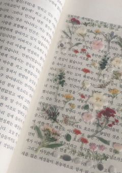 僕とパボなヒョンたちの話