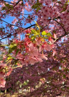 好きな人に似てるだけ。一緒なのは一つだけ。