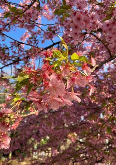 俺は女苦手なんだよ...