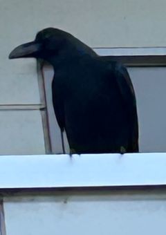 ::TGAK::泣いてるの