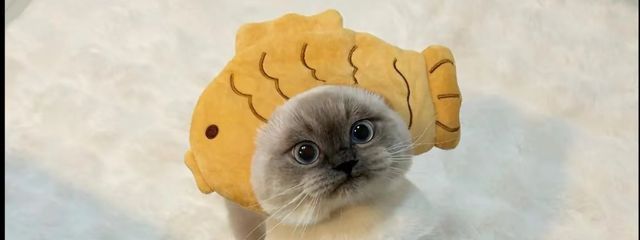 なっちゃんさんの壁紙画像