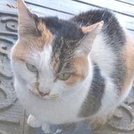 かなまるさんのアイコン画像