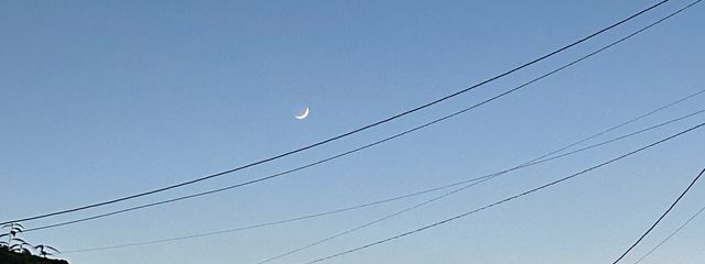 栖樽ｰすだるさんの壁紙画像