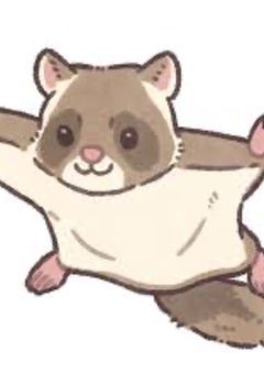そこら辺のムササビちゃん　専用部屋