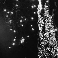 りょかさんのアイコン画像