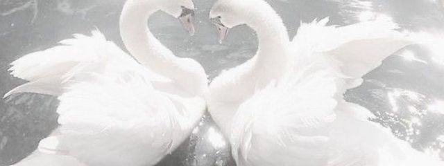  ♕ ⌇ 𝑆𝑜𝑙 . 𝐴𝑛𝑔𝑒𝑙さんの壁紙画像