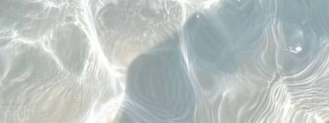 まぐねっとさんの壁紙画像
