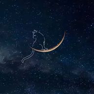 Rai.さんのアイコン画像