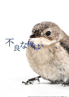 äžè¯ãªä¿ºã¯ããã