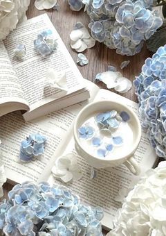 𝗦𝗘𝗖𝗥𝗘𝗧 𝗚𝗔𝗥𝗗𝗘𝗡　𓂃𓂂◌