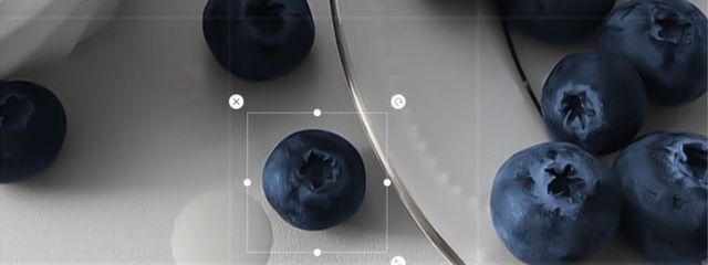 노아 ಇさんの壁紙画像