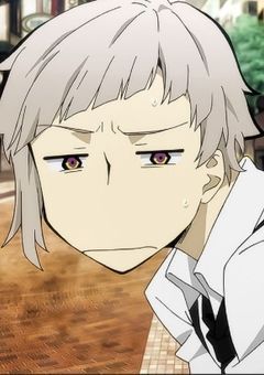 探偵社の皆夢主の事嫌いな"ふり"してます