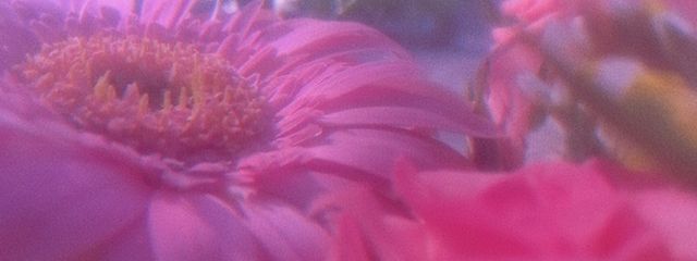 愛 𝗰 さんの壁紙画像