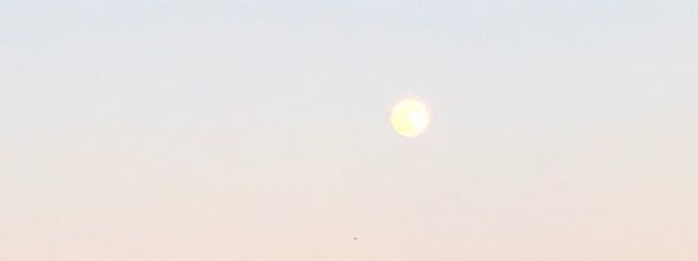 yujina　txt_loveさんの壁紙画像