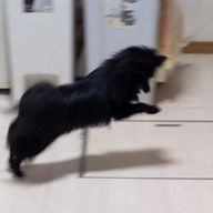 なっちゃんさんのアイコン画像