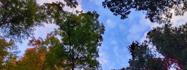 miuさんの壁紙画像