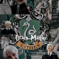 タコめあ🐙さんのアイコン画像