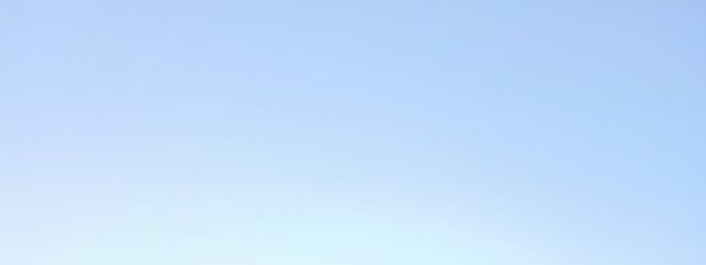 みかんてんさんの壁紙画像