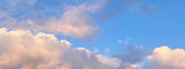 mii*@低浮上さんの壁紙画像