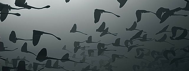   匿名さんの壁紙画像