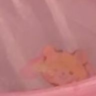 HADUKIさんのアイコン画像