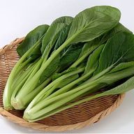 こまつなさんのアイコン画像