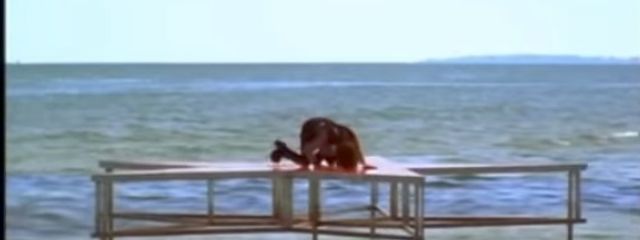 神崎れんさんの壁紙画像