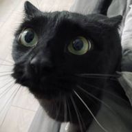 ぶんさんのアイコン画像