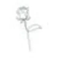 あーさんのアイコン画像